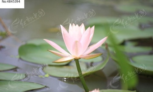 隐形性肾炎有什么症状女性、隐形肾炎是怎么造成的 -隐形性肾炎有什么症状网