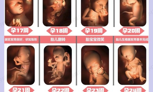 隐形性肾炎有什么症状女性、隐形肾炎是怎么造成的 -隐形性肾炎有什么症状网
